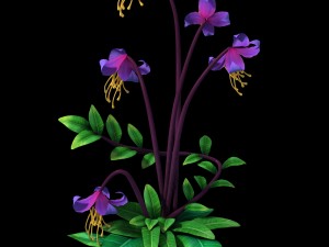 crystal marsh - flowers and combinations 01 3D Model