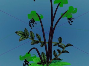 crystal marsh - flowers and combinations 01 3D Model