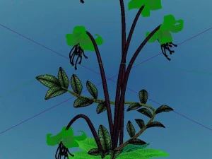 crystal marsh - flowers and combinations 01 3D Model