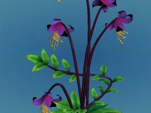 crystal marsh - flowers and combinations 01 3D Model