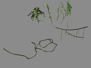 death swamp - vines 113 Modello 3D