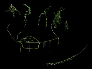 death swamp - vines 113 Modello 3D