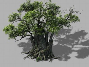 songshan - plants - old trees 01 Modelo 3D