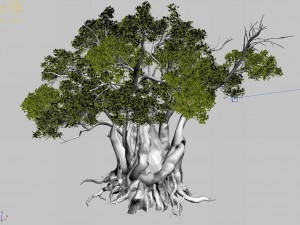 songshan - plants - old trees 01 3Dモデル