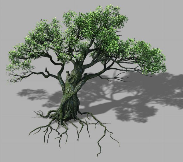 songshan - plants - old trees 02 3D Model .c4d .max .obj .3ds .fbx .stl .blend 