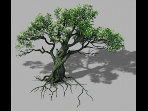 songshan - plants - old trees 02 3D Model