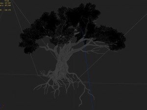 songshan - plants - old trees 02 3D Model