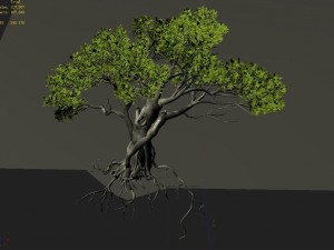 songshan - plants - old trees 02 3D Model