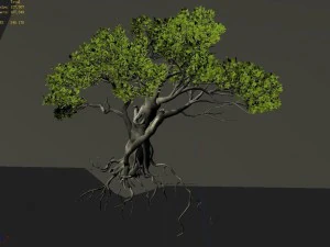 songshan - plants - old trees 02 3D Model