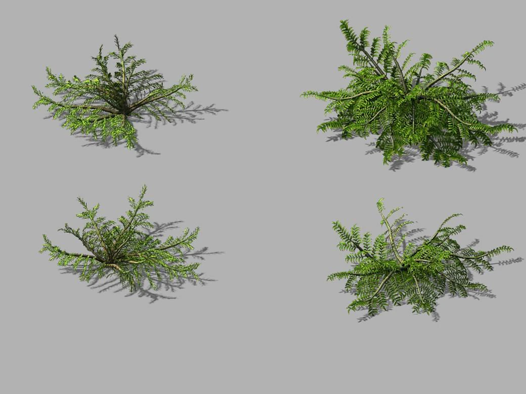 songshan - plants - small plants 3D Model .c4d .max .obj .3ds .fbx .stl .blend 