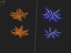 songshan - plants - small plants Model 3D