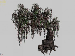 material - tree 01 3D-Modell