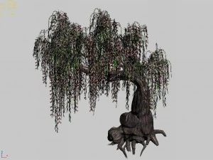 material - tree 01 3D Model
