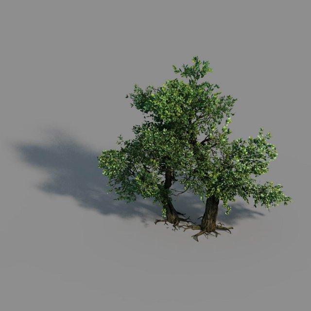 material - tree 02 Modello 3D .c4d .max .obj .3ds .fbx .stl .blend 