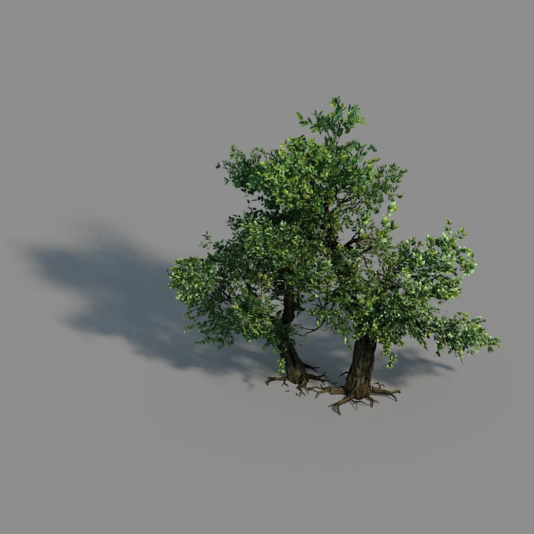 material - tree 02 3D Model .c4d .max .obj .3ds .fbx .stl .blend