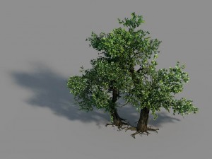 material - tree 02 Modelo 3D