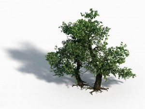 material - tree 02 Modello 3D