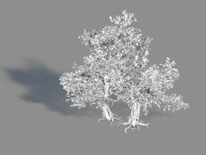 material - tree 02 Modello 3D