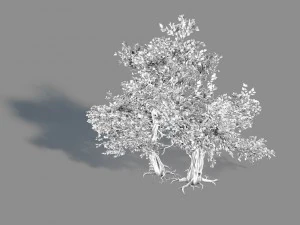 material - tree 02 3D Model