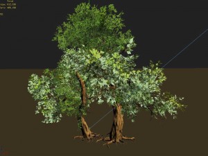 material - tree 02 Modello 3D