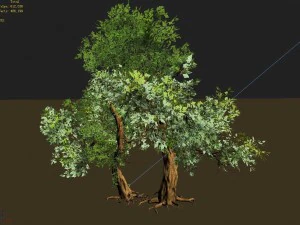 material - tree 02 3D Model