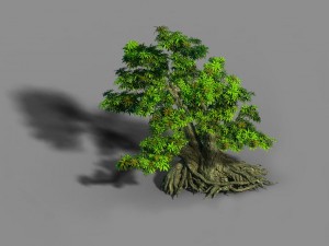 material - tree 03 3D 모델