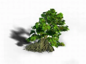 material - tree 03 3D Model