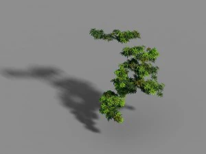 material - tree 03 3D Model