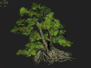 material - tree 03 Modelo 3D