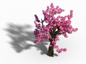 material - tree 04 Model 3D