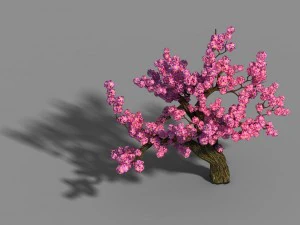 material - tree 04 3D Model