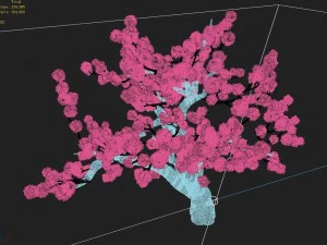 material - tree 04 3D Model
