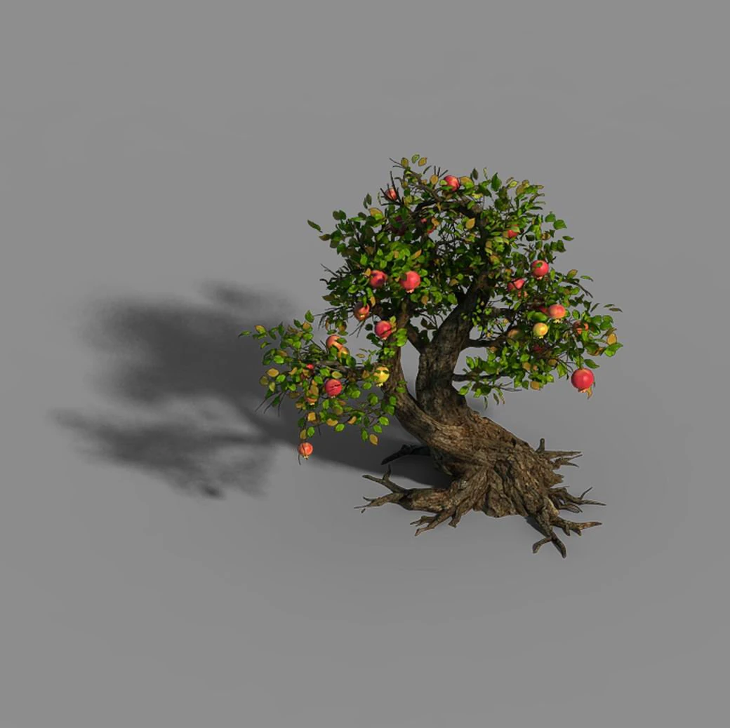 material - tree 05 3D Model .c4d .max .obj .3ds .fbx .stl .blend 