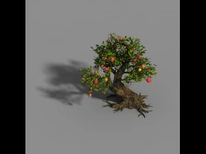 materiale - albero 05 Modello 3D