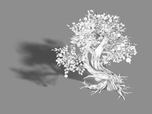material - tree 05 3D Model