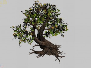 material - tree 05 Modelo 3D