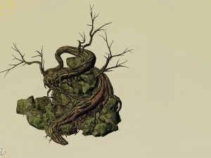 explore the mountains - ancient trees and rocks 01 Model 3D