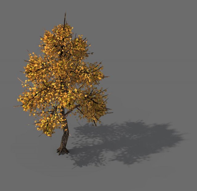 explore the mountains - hongye tree 09 3D Model .c4d .max .obj .3ds .fbx .stl .blend 