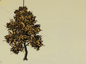 explore the mountains - hongye tree 09 3D Model