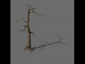 explore the mountains - dead wood 01 Modèle 3D