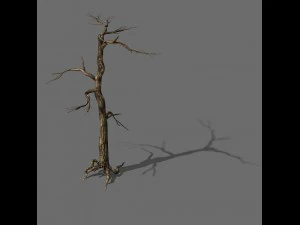 explore the mountains - dead wood 01 3D Model