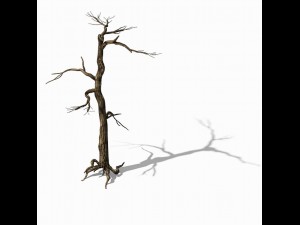 explore the mountains - dead wood 01 3D मॉडल