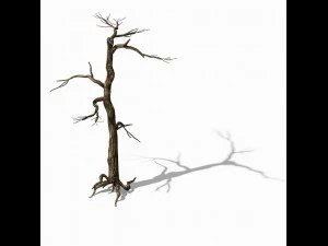 explore the mountains - dead wood 01 3D Model