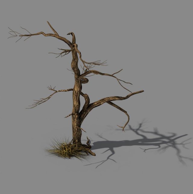 explore the mountains - dead wood 02 3D 模型 .c4d .max .obj .3ds .fbx .stl .blend 