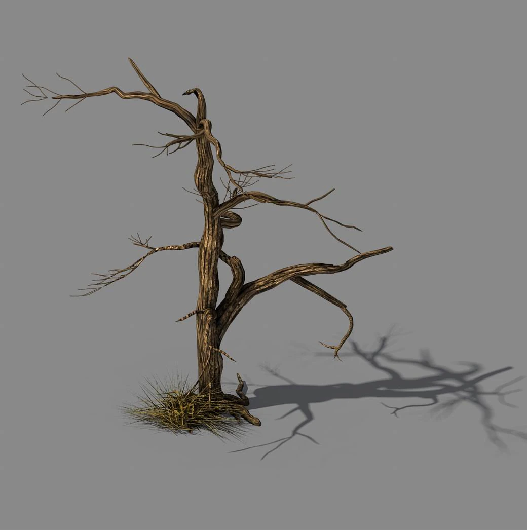 explore the mountains - dead wood 02 3D Model .c4d .max .obj .3ds .fbx .stl .blend