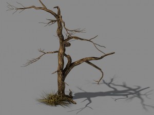 explore the mountains - dead wood 02 Modelo 3D