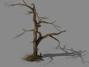 dağları keşfedin - &ouml;l&uuml; ağa&ccedil; 02 3D Model