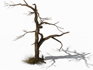 explore the mountains - dead wood 02 3D 模型