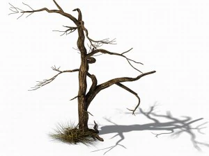 explore the mountains - dead wood 02 3D Model