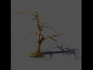 explore the mountains - dead wood 02 3D Model